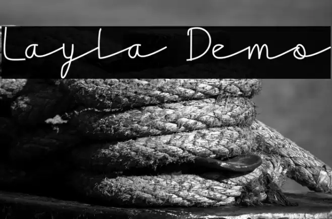 Layla Demo Font examples