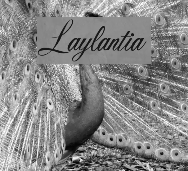Laylantia Font examples