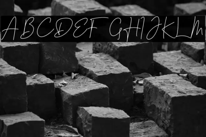 Laylin Fonte examples