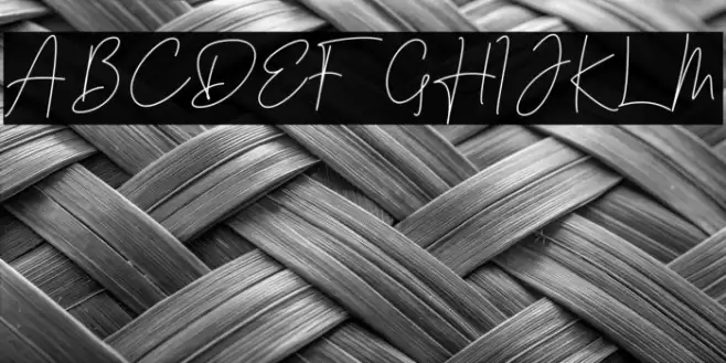 Laylin Fonte examples