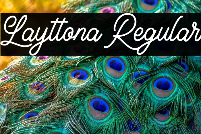 Layttona Regular Example 2