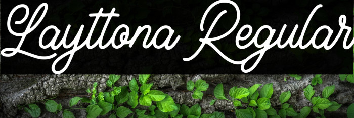 Layttona Regular Example 3