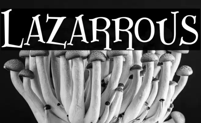 Lazarrous Example 1