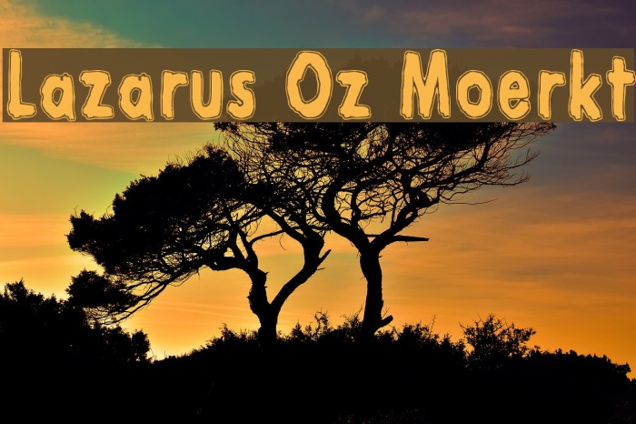 Lazarus Oz Moerkt Caratteri examples