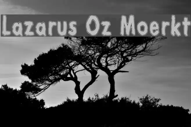 Lazarus Oz Moerkt Caratteri examples