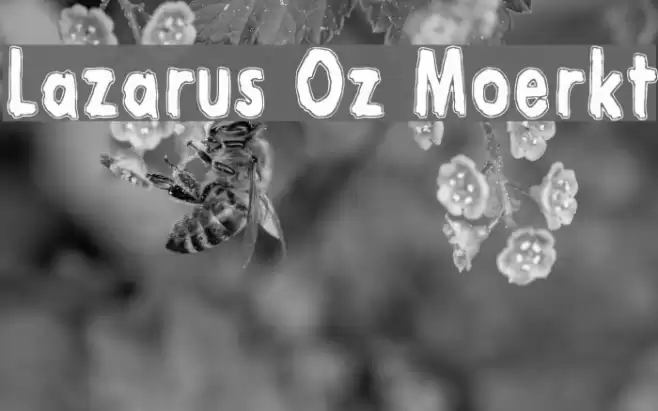 Lazarus Oz Moerkt Caratteri examples