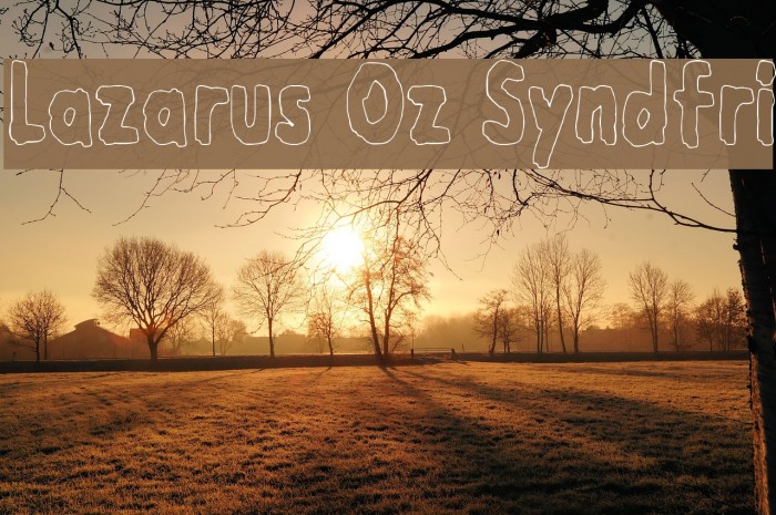 Lazarus Oz Syndfri Font examples