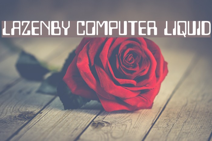 Lazenby Computer Liquid Example 2