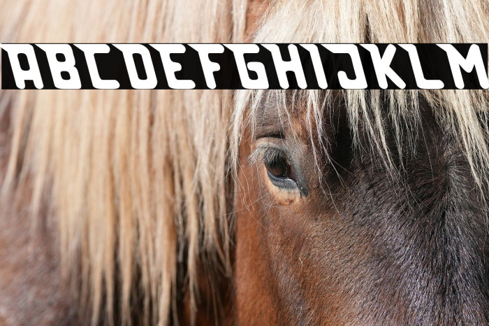 Lazerbeam surprise Example 1