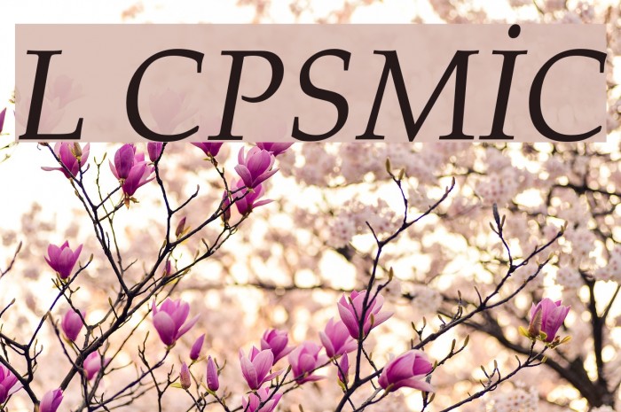 Lazuri COSMIC Example 1