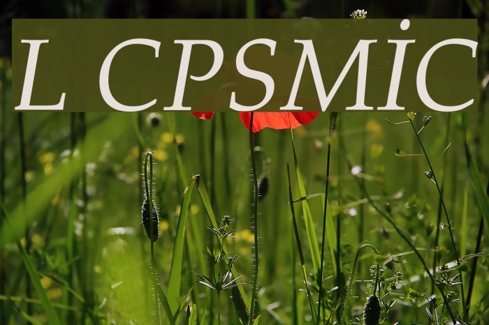 Lazuri COSMIC Example 2