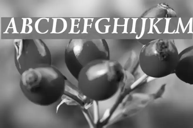 Lazurski Bold Italic Font examples