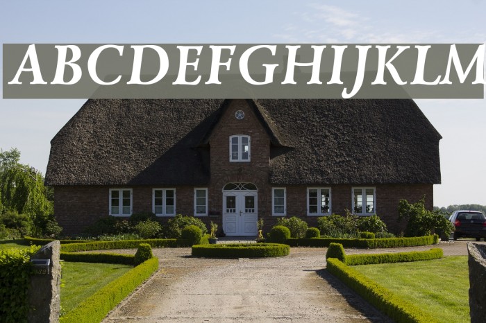Lazurski Bold Italic Font examples