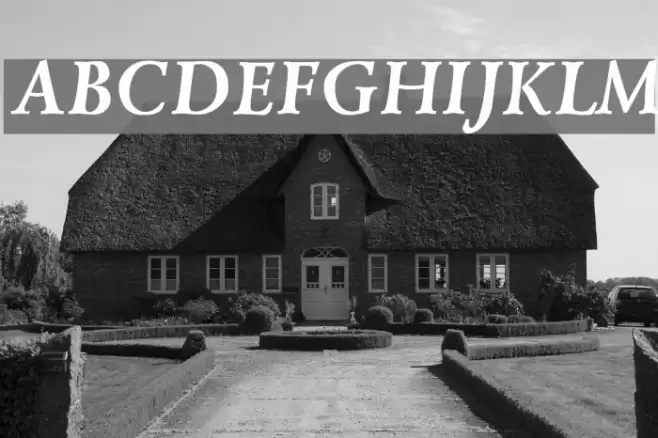 Lazurski Bold Italic Font examples