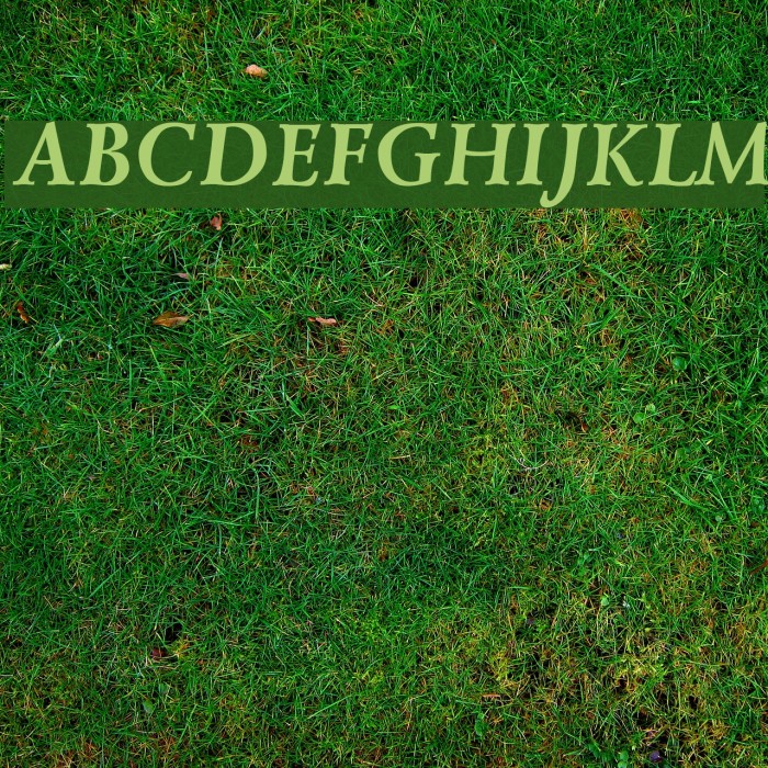 Lazurski Bold Italic Font examples