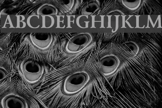 Lazurski Bold Schriftart examples