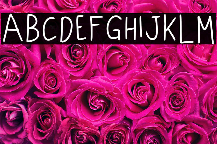 Lazy Dog Called Mipan Regular Example 2