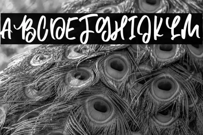 Lazy Fine Font examples