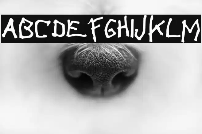 Lazy Girl Font examples