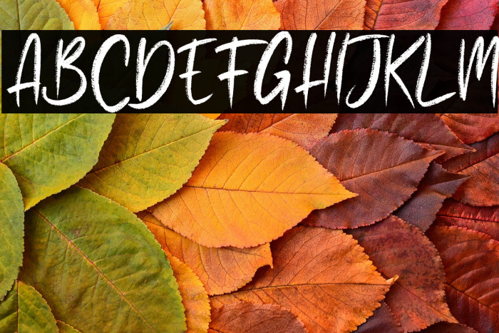 Lazy Jumps Regular Example 2