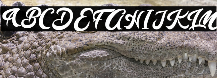 Lazy Monday Example 2