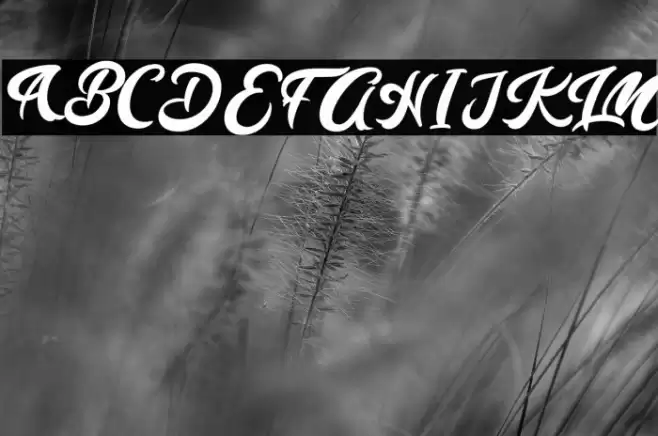 Lazy Monday Font examples