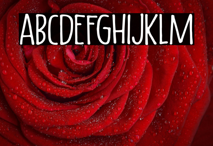 Lazy Morning DEMO Regular Example 1