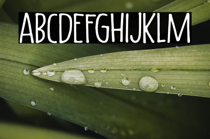 Lazy Morning DEMO Regular Example 3