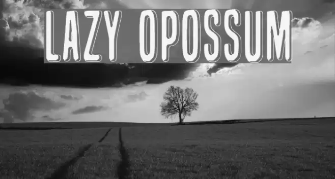 Lazy Opossum Font examples
