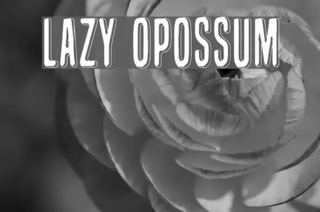 Lazy Opossum Font examples