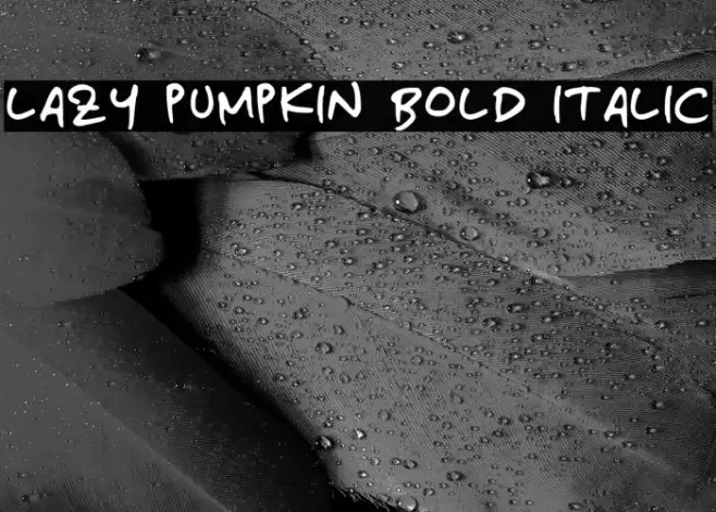 Lazy Pumpkin Bold Italic Font examples