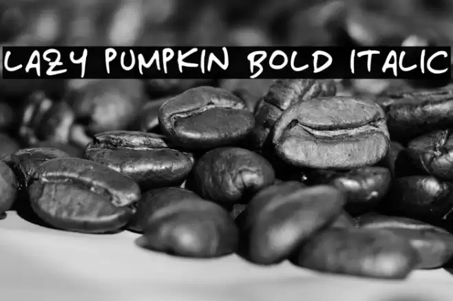 Lazy Pumpkin Bold Italic Font examples