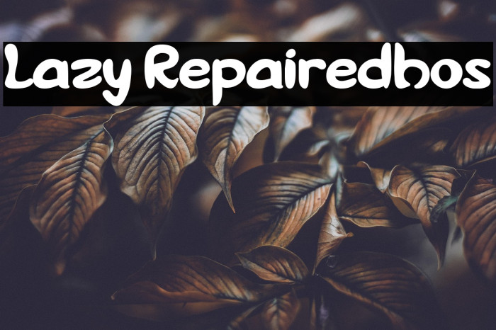 Lazy Repairedhos Example 3