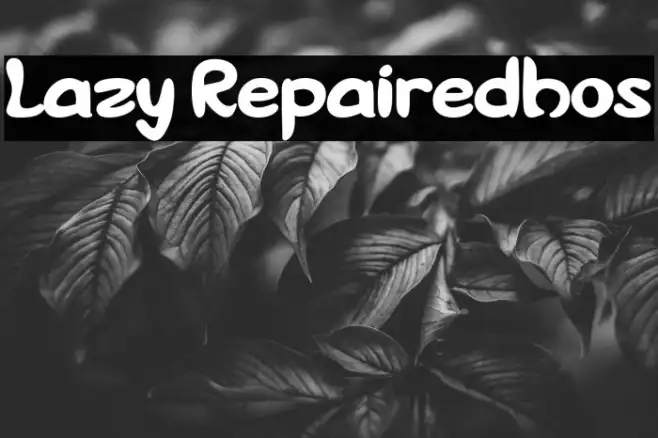 Lazy Repairedhos Example 3