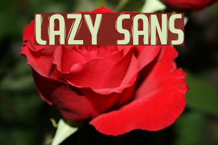 Lazy Sans Font examples