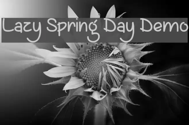 Lazy Spring Day Demo Font examples