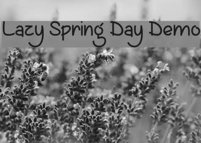 Lazy Spring Day Demo Font examples
