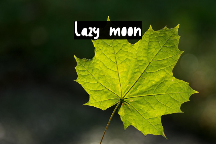 Lazy moon Example 1