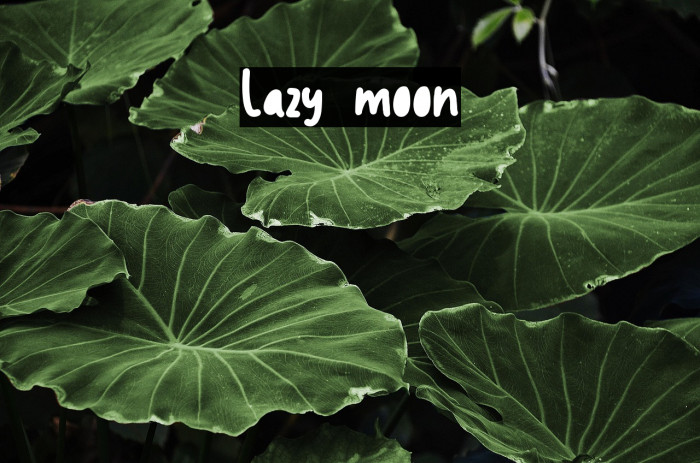 Lazy moon Example 2