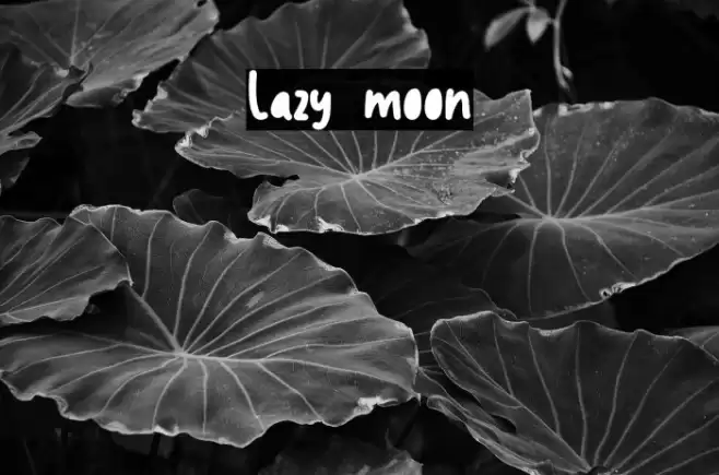 Lazy moon Font examples