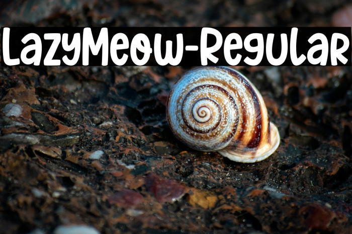 LazyMeow-Regular Example 1