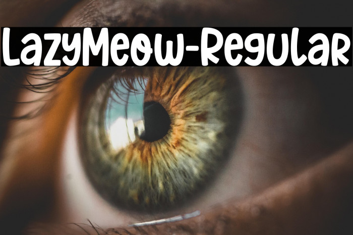 LazyMeow-Regular Example 3