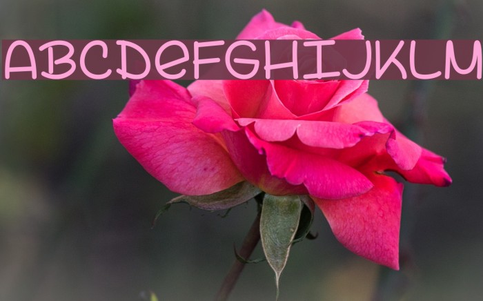 LazySpringDay Font examples