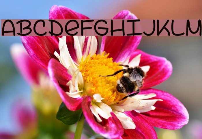 LazySpringDay Font examples