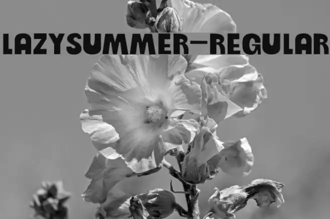 LazySummer-Regular Example 1
