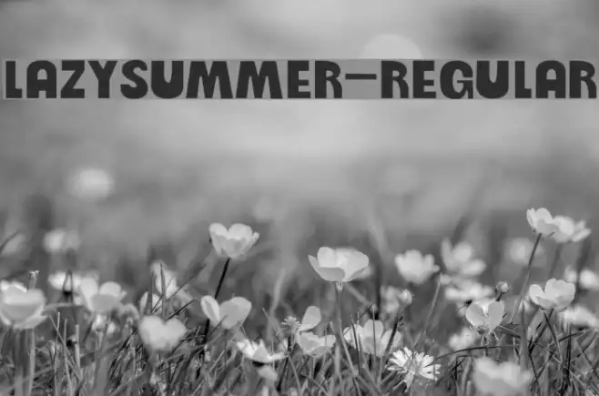 LazySummer-Regular Example 2