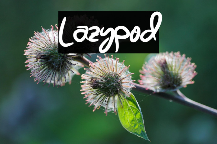 Lazypod Example 3