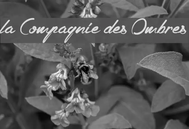 la Compagnie des Ombres Font examples