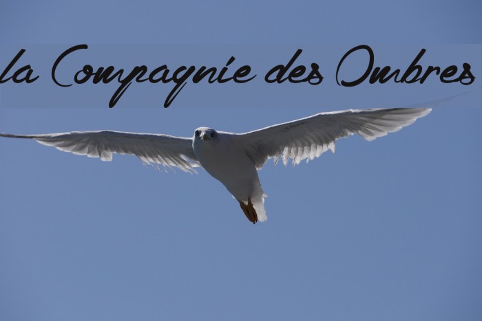 la Compagnie des Ombres Font examples