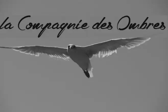 la Compagnie des Ombres Font examples